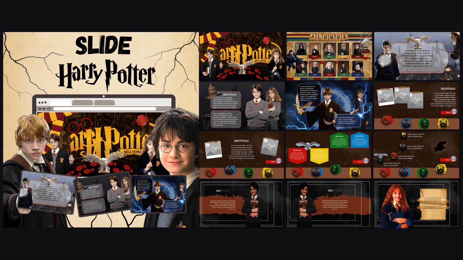 SLIDE HARRY POTTER 